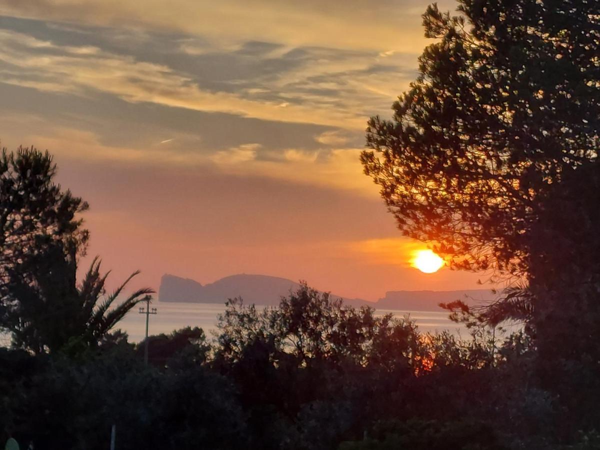 Arcamyrtus Pensionat Alghero Exteriör bild