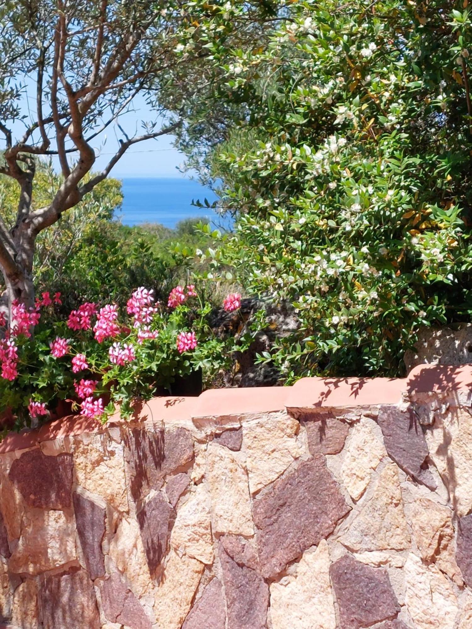 Arcamyrtus Pensionat Alghero Exteriör bild