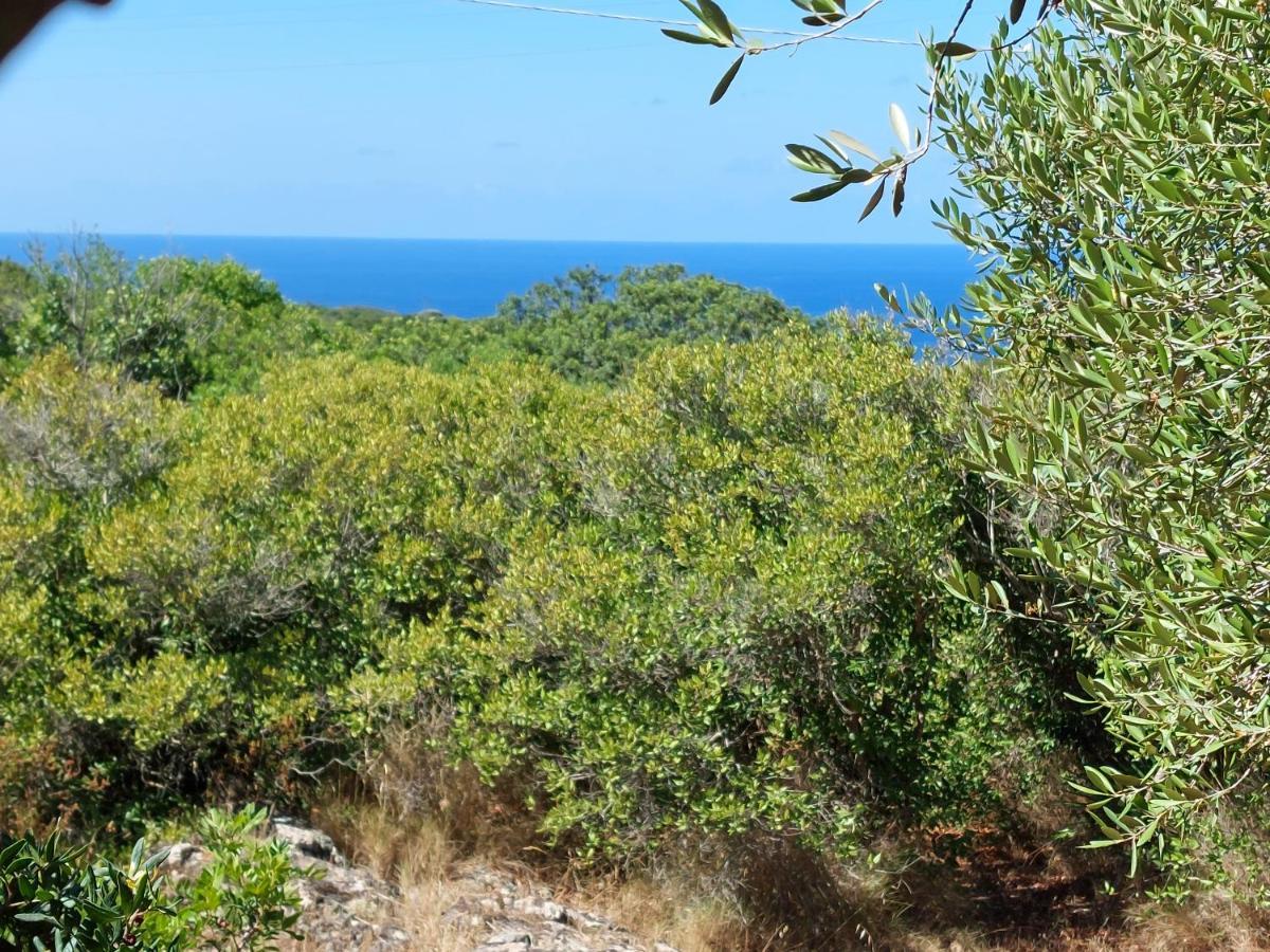 Arcamyrtus Pensionat Alghero Exteriör bild